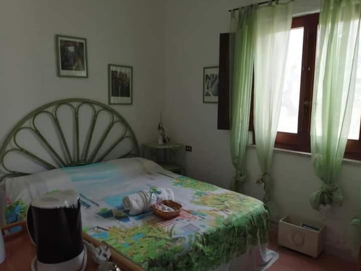 Gasthaus Eucaliptus Farm Retreat Santa Teresa Gallura Exterior foto