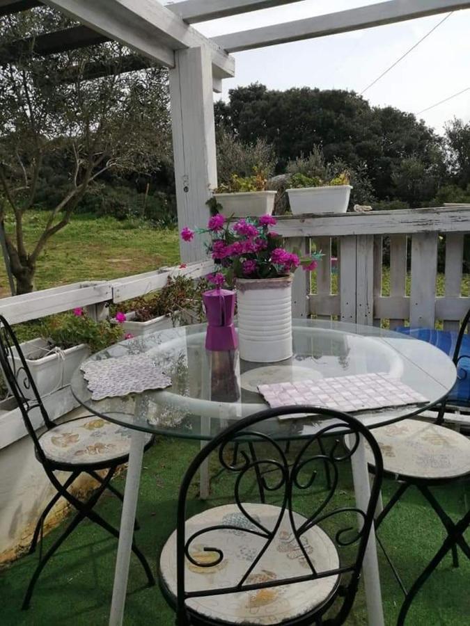 Gasthaus Eucaliptus Farm Retreat Santa Teresa Gallura Exterior foto