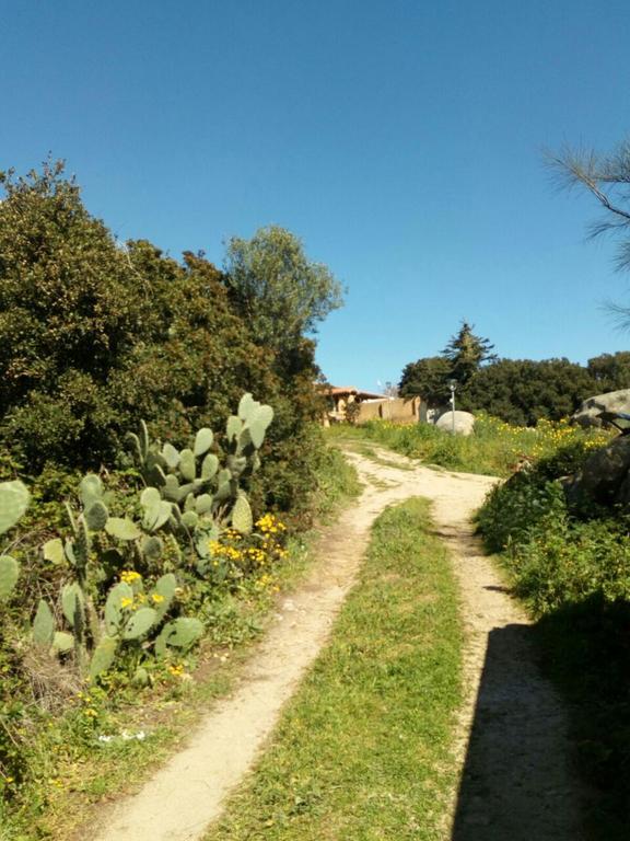 Gasthaus Eucaliptus Farm Retreat Santa Teresa Gallura Exterior foto