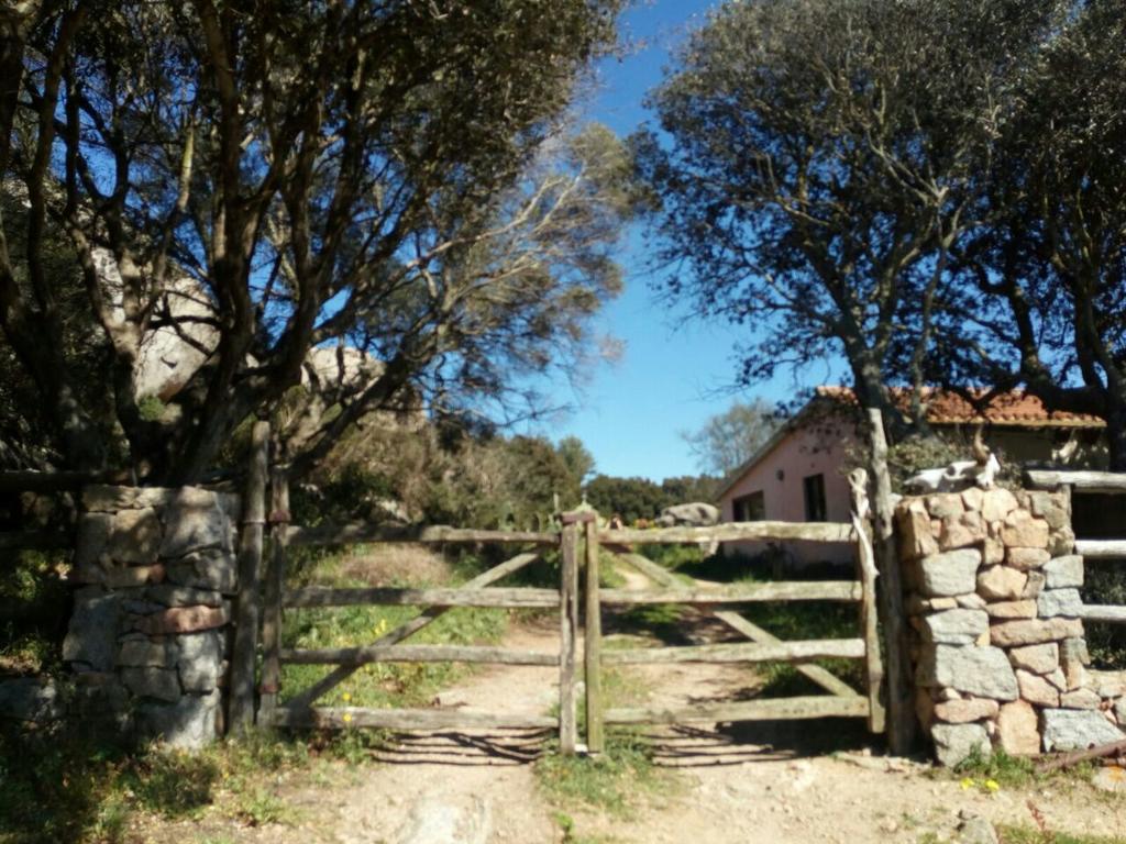 Gasthaus Eucaliptus Farm Retreat Santa Teresa Gallura Exterior foto