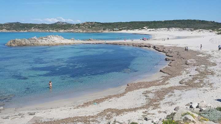 Gasthaus Eucaliptus Farm Retreat Santa Teresa Gallura Exterior foto
