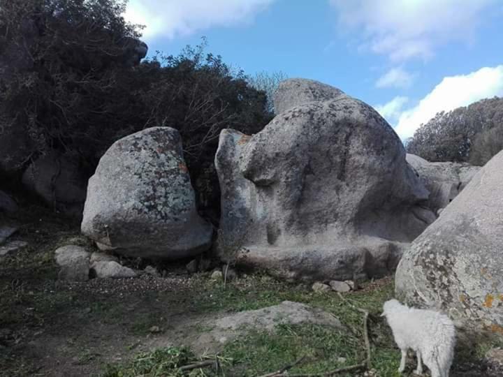 Gasthaus Eucaliptus Farm Retreat Santa Teresa Gallura Exterior foto